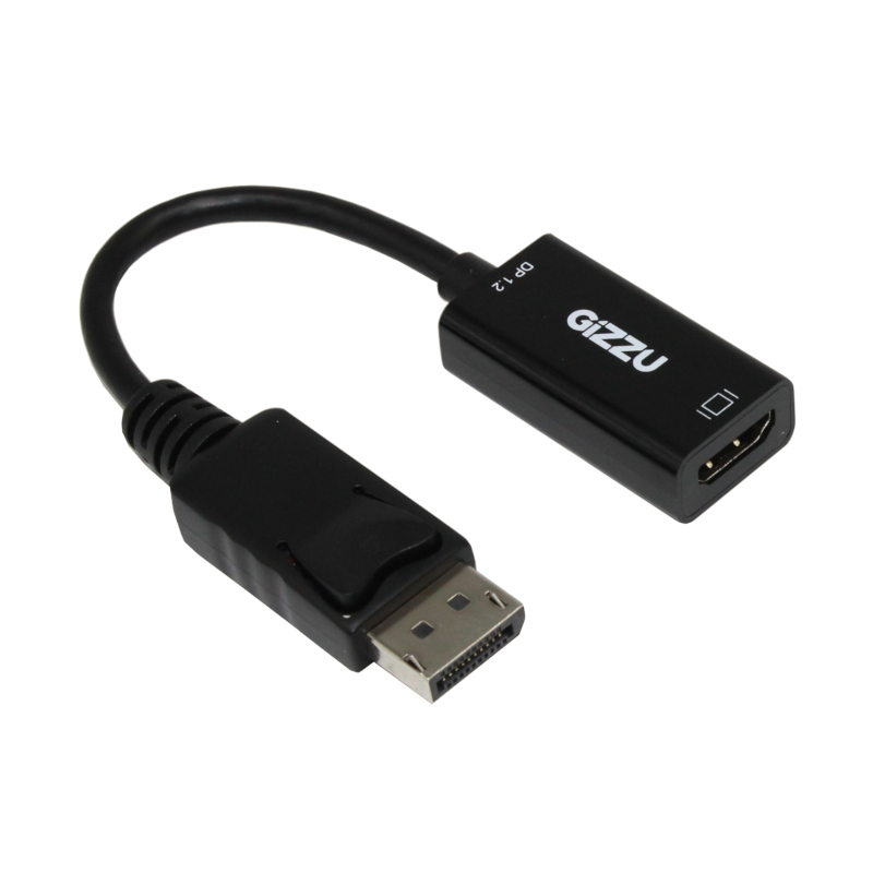 Gizzu DisplayPort Male to DVI Female Adapter (0.15m)